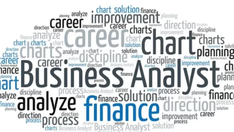 Should You Take A Business Analyst Course? Benefits And Overview