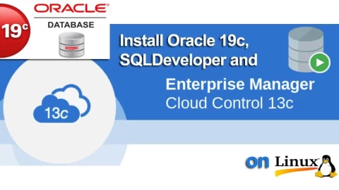 Oracle 19c SQL Developer and OEM Cloud Control Installation on Linux
